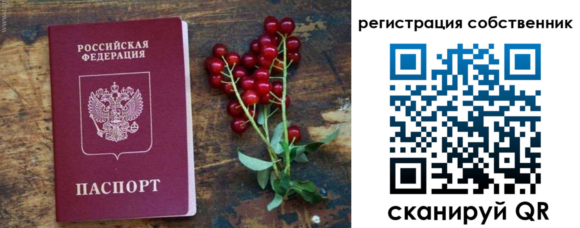 регистрация для дет. сада в Белоозёрском